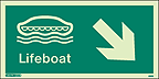 4691G - Jalite Lifeboat Arrow Down Right Sign - IMPA Code: 33.4307 - ISSA Code: 47.543.07